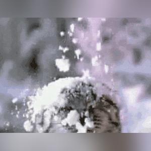 黑龙江伊春天气（黑龙江伊春天气预报一周）