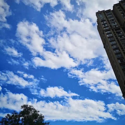 合肥市天气预报（合肥市天气预报40天查询）