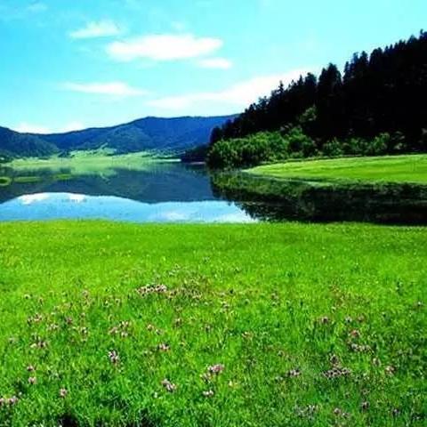 稻城亚丁（稻城亚丁旅游攻略）