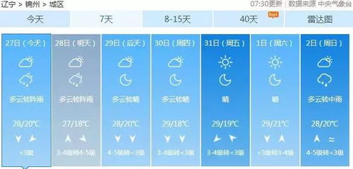 新县天气预报15天（新县天气预报15天当地天气查询表）