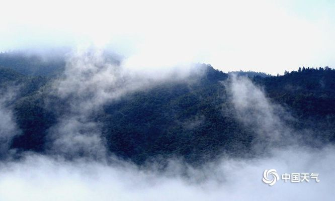 井冈山天气（吉安井冈山天气）