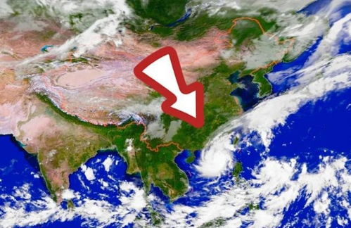 最近台风20号台风（最近台风20号台风是什么）