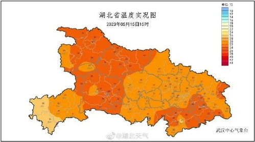 枣阳天气（枣阳天气预报40天）