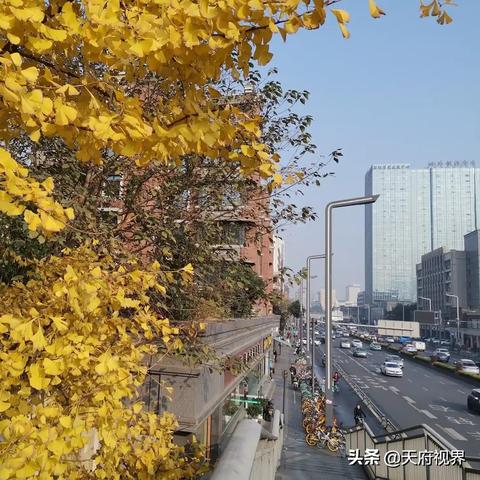空气质量指数实时监测（成都空气质量指数实时监测）