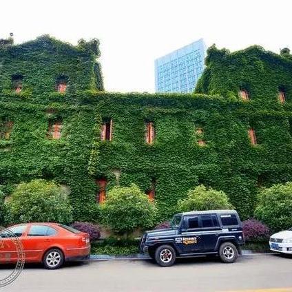 成都旅游必去十大景点推荐（成都旅游必去十大景点推荐带孩子玩）
