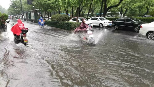 杭州暴雨最新消息来了（杭州暴雨预警最新）
