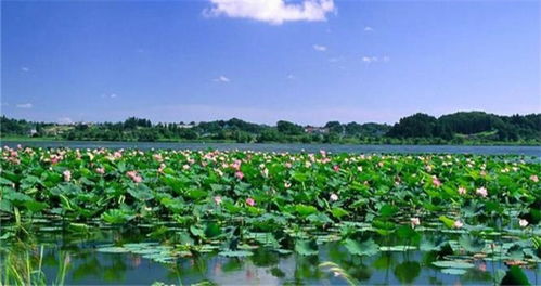 雄县天气预报的简单介绍 雄县天气预报的简单介绍