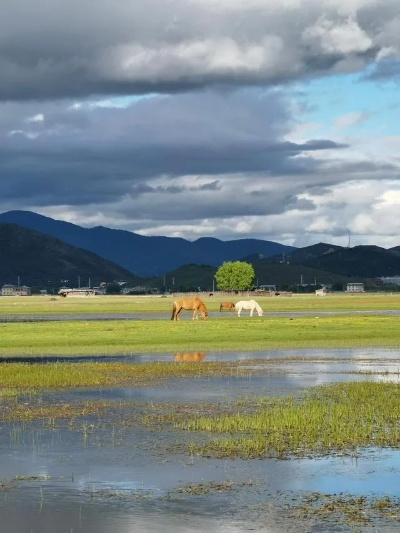 香格里拉天气（香格里拉天气预报）