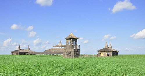 杜尔伯特天气预报（杜尔伯特天气预报15天查询百度）