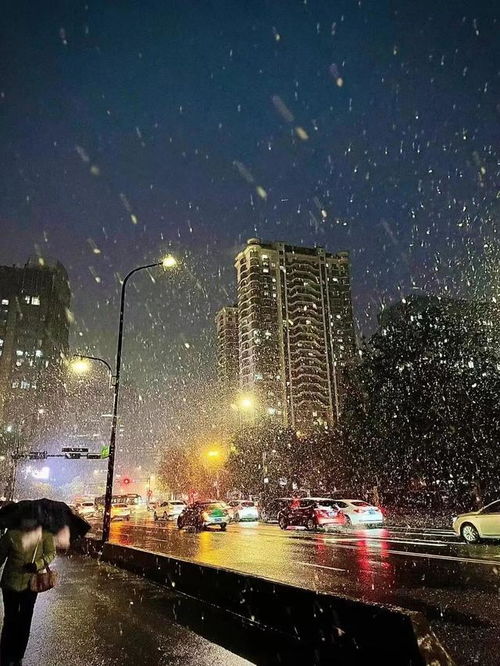 杭州天气预报一周（杭州天气预报一周七天）