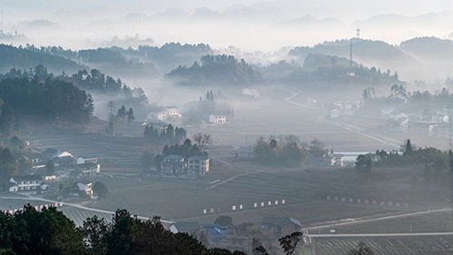 西昌天气预报15天（西昌天气预报15天准确天气查询表）