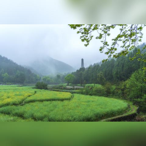 能看到几点几分下雨的天气预报（能知道几点下雨的天气预报是哪个）