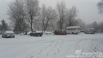 哈尔滨现在下雪了吗（2025年8月下雪的城市）