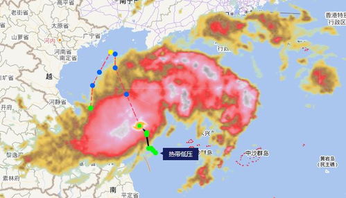 2023最新台风消息（202123号台风）