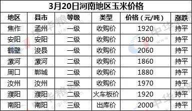 现在玉米多少钱一斤(河南现在玉米多少钱一斤) 现在玉米多少钱一斤(河南现在玉米多少钱一斤)