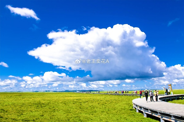 若尔盖天气（若尔盖草原天气）